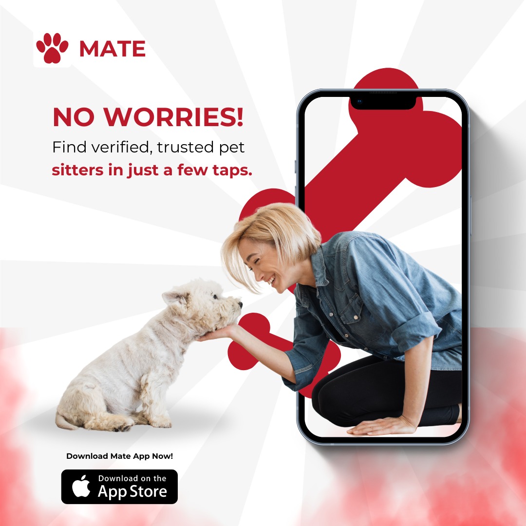 WhatsApp Image 2024-12-09 at 23.05.25_2515014d